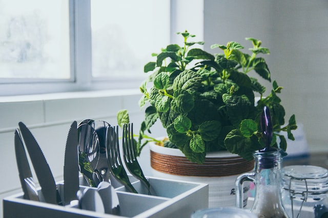 What to Consider when Building a Sustainable Kitchen
